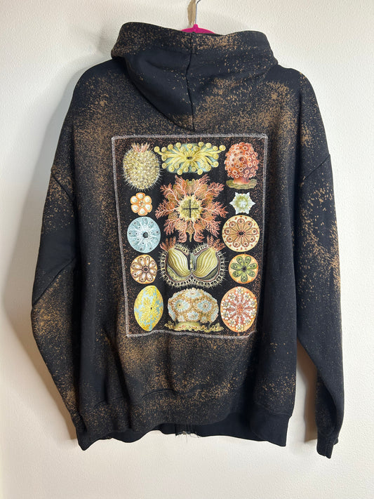Ascidiae sea organisms upcycled hoodie unisex size XL