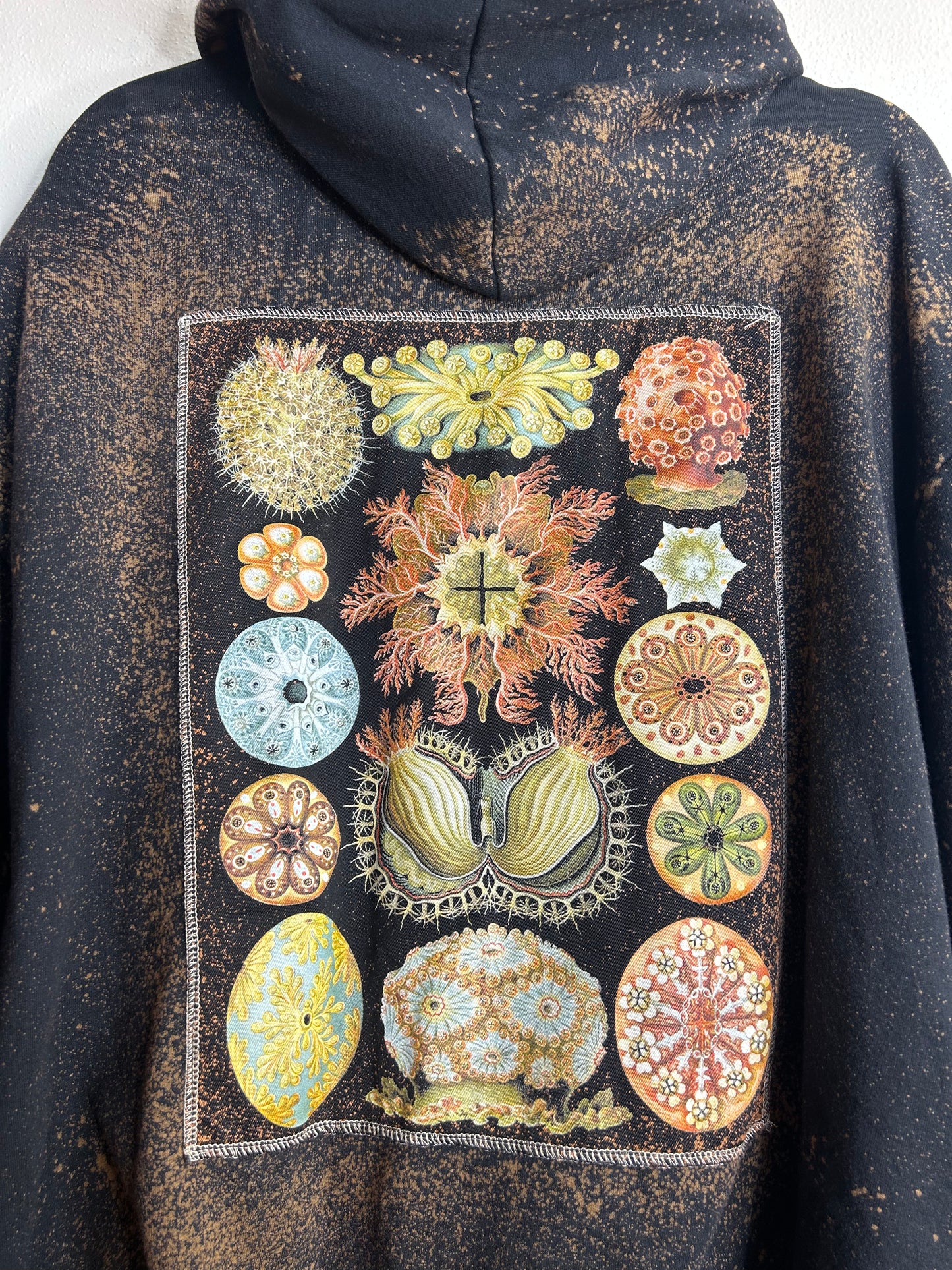 Ascidiae sea organisms upcycled hoodie unisex size XL