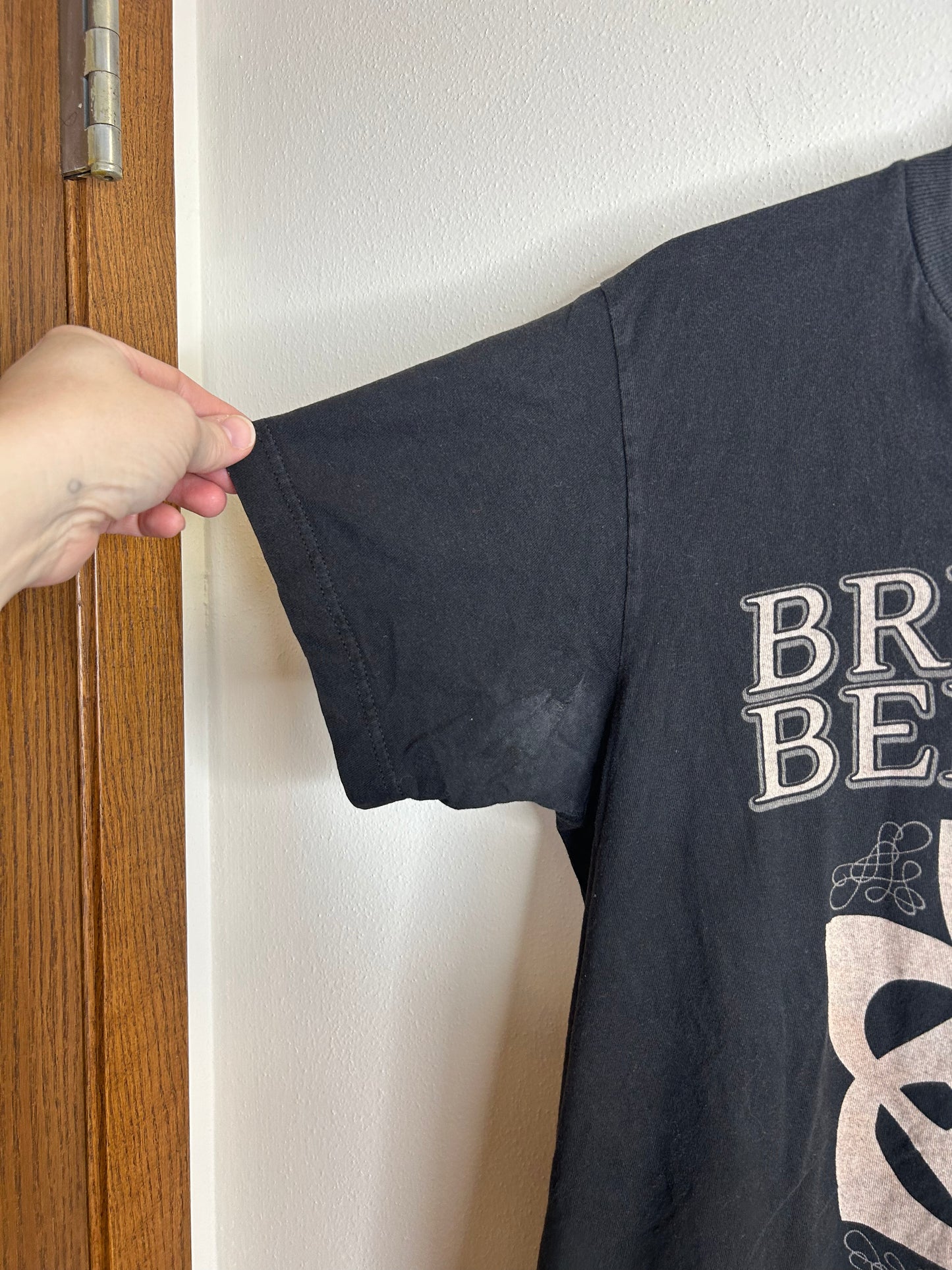 Breaking Benjamin 2015 T-shirt size M